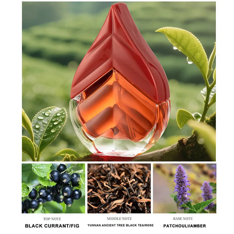 Black Tea & Green Tea Unisex Eau de Toilette