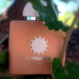 AMOUAGE Women's Eau de Parfum – 100ml Luxury Collection