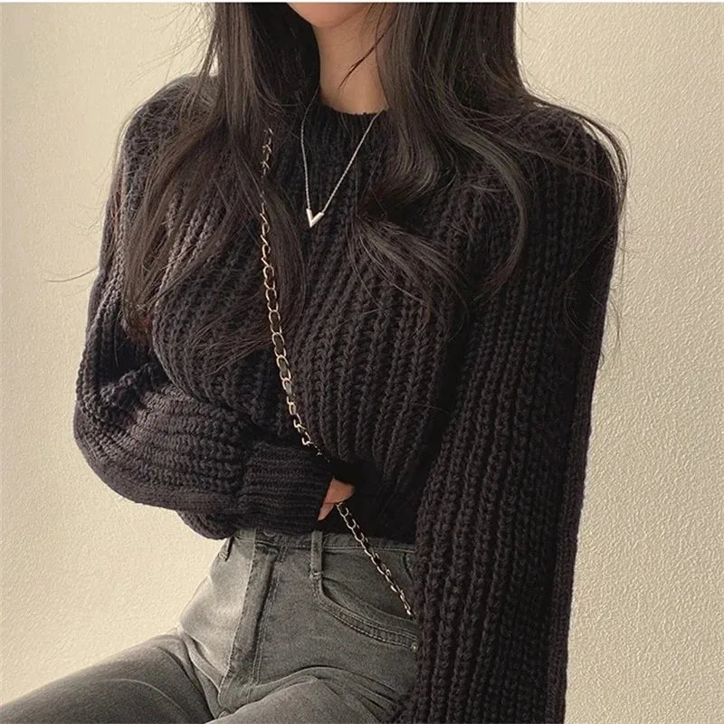 Women's Loose-Fit Crew Neck Knit Sweater