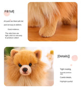 Premium Simulation Pomeranian Dog Plush Toy Cute Stuffed Animals High Quality Puppy Plushies Doll Cartoon Soft Kids Toys Gifts