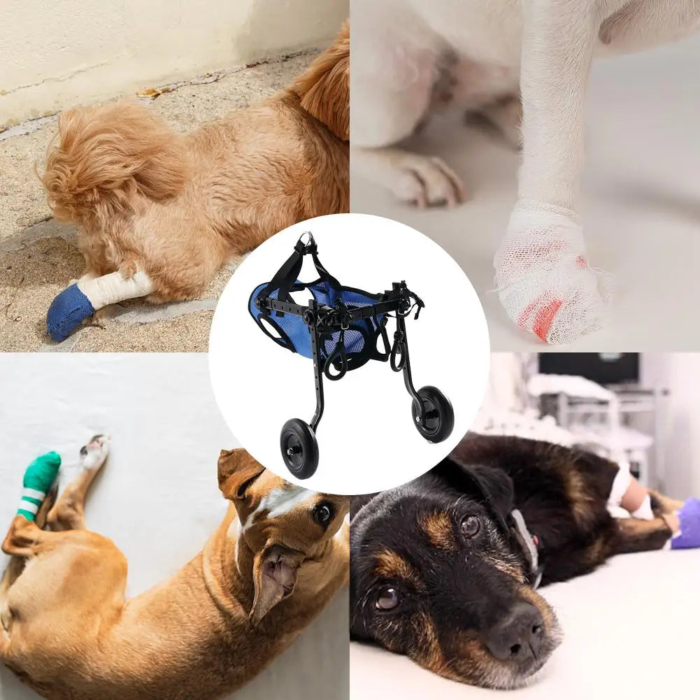 Adjustable Pet Mobility Wheelchair Cart for Small Dogs & Cats