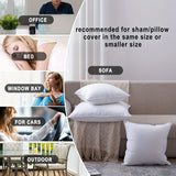 2pcs Pillow Cushions, Soft Durable Sofa Cushion, Fluffy Pillow Inserts, For Living Room Sofa Sofa Bed Home Decor