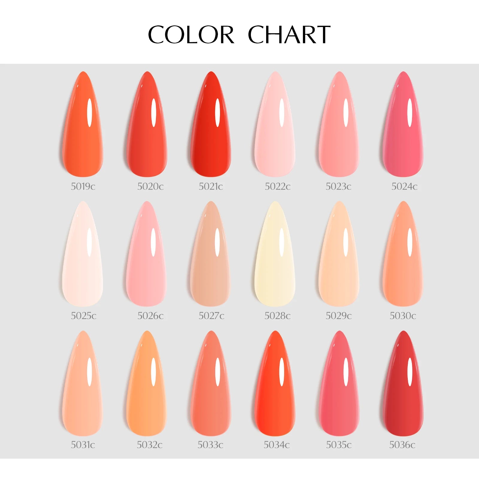 VENALISA 10ml Gel Polish Kit – HEMA & TPO Free