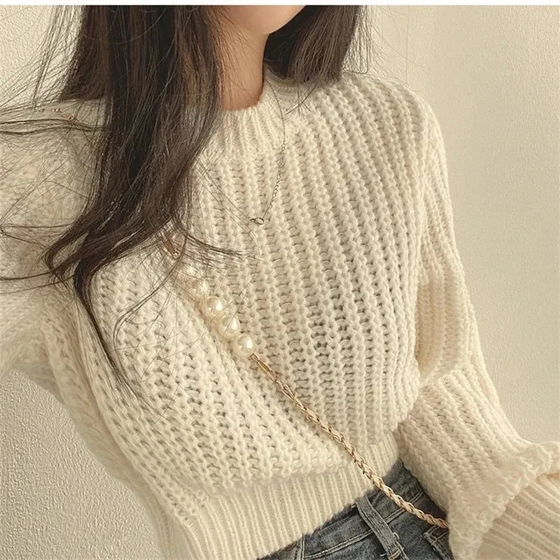 Women's Loose-Fit Crew Neck Knit Sweater