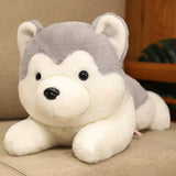Cute Lying Husky Plush Pillow