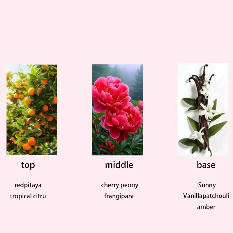 Butterfly Perfume | Floral & Fruity EDT | 35ml–50ml