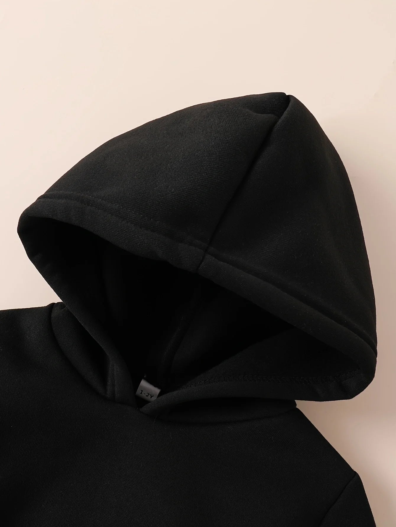 Baby Boy 2-Piece Fleece Hooded Sweatshirt and Pants Set