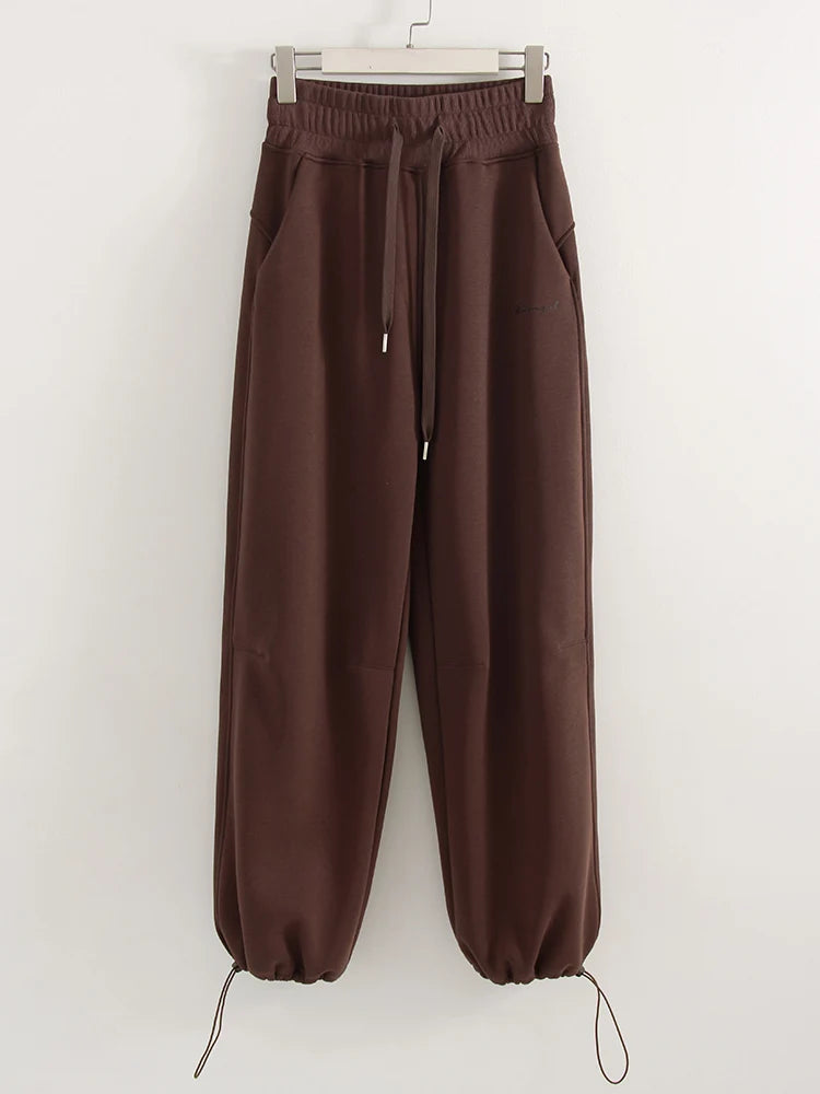 Women Tracksuits Winter Fleece Sweatsuit Brown Warm Crop Zipper Hoodies And Sweatpants Set For Women 2 Piece Velvet Pants Sets