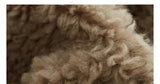 Teddy Style 100% Wool Coat~Women's Short Lazy Style Loose Jacket Autumn and Winter New Model 2025 Faux Fur