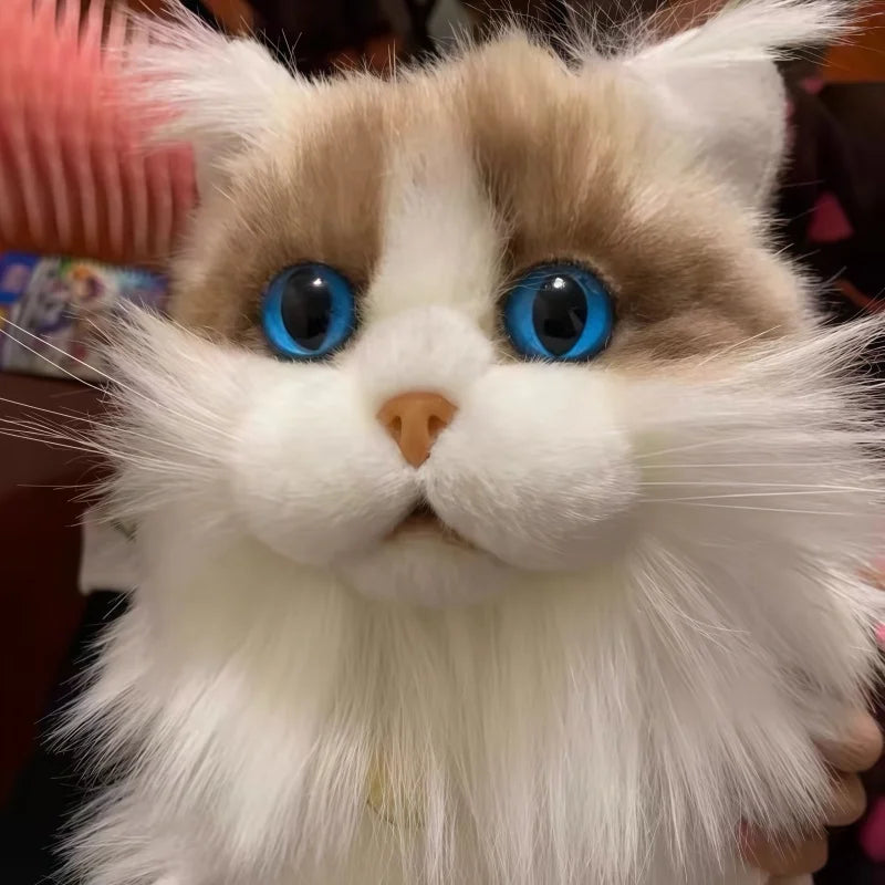 Lifelike Ragdoll Cat Plush Doll — Soft Cuddle Companion
