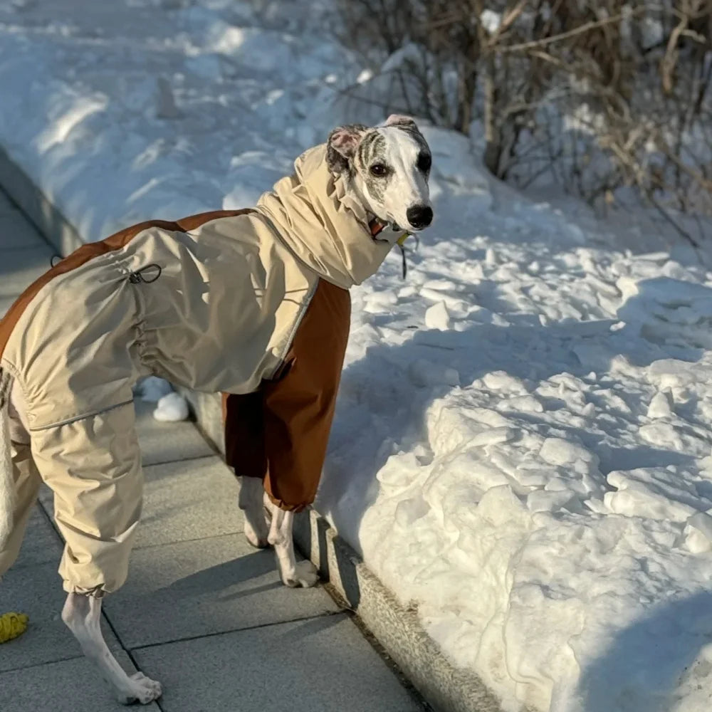 Italian Greyhound Fleece Vest – Windproof & Waterproof