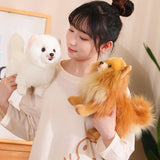 Premium Simulation Pomeranian Dog Plush Toy Cute Stuffed Animals High Quality Puppy Plushies Doll Cartoon Soft Kids Toys Gifts