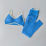 Seamless 2-Piece Sculpt Fitness Set