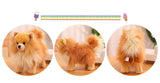 Premium Simulation Pomeranian Dog Plush Toy Cute Stuffed Animals High Quality Puppy Plushies Doll Cartoon Soft Kids Toys Gifts