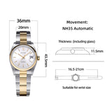Baltany 36mm Perpetual Date Watch S4095 Sunray Dial 100M Waterproof Stainless Steel Bracelet NH35 Luxury Automatic Watch for Men