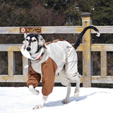 Italian Greyhound Fleece Vest – Windproof & Waterproof