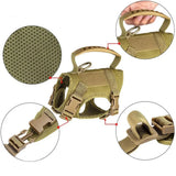 Cat Tactical Harness Vest with Leash & 2 Stickers