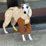 Italian Greyhound Fleece Vest – Windproof & Waterproof