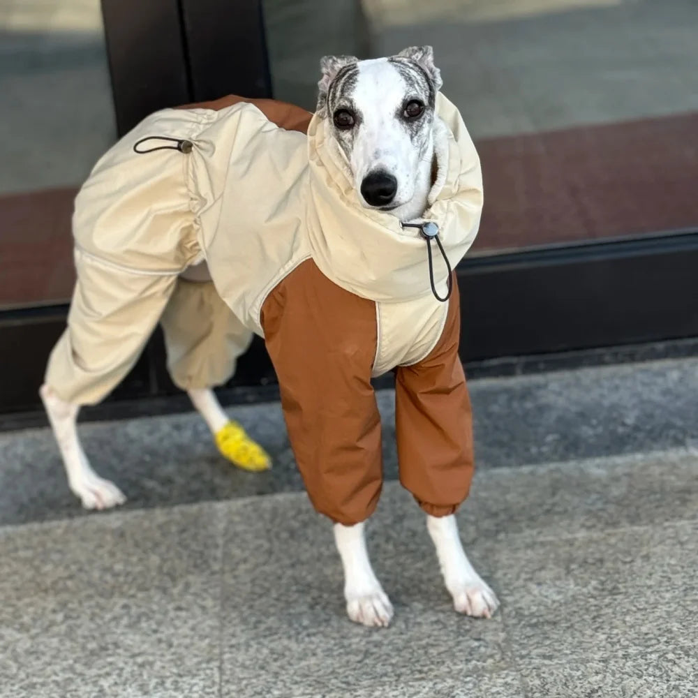 Italian Greyhound Fleece Vest – Windproof & Waterproof