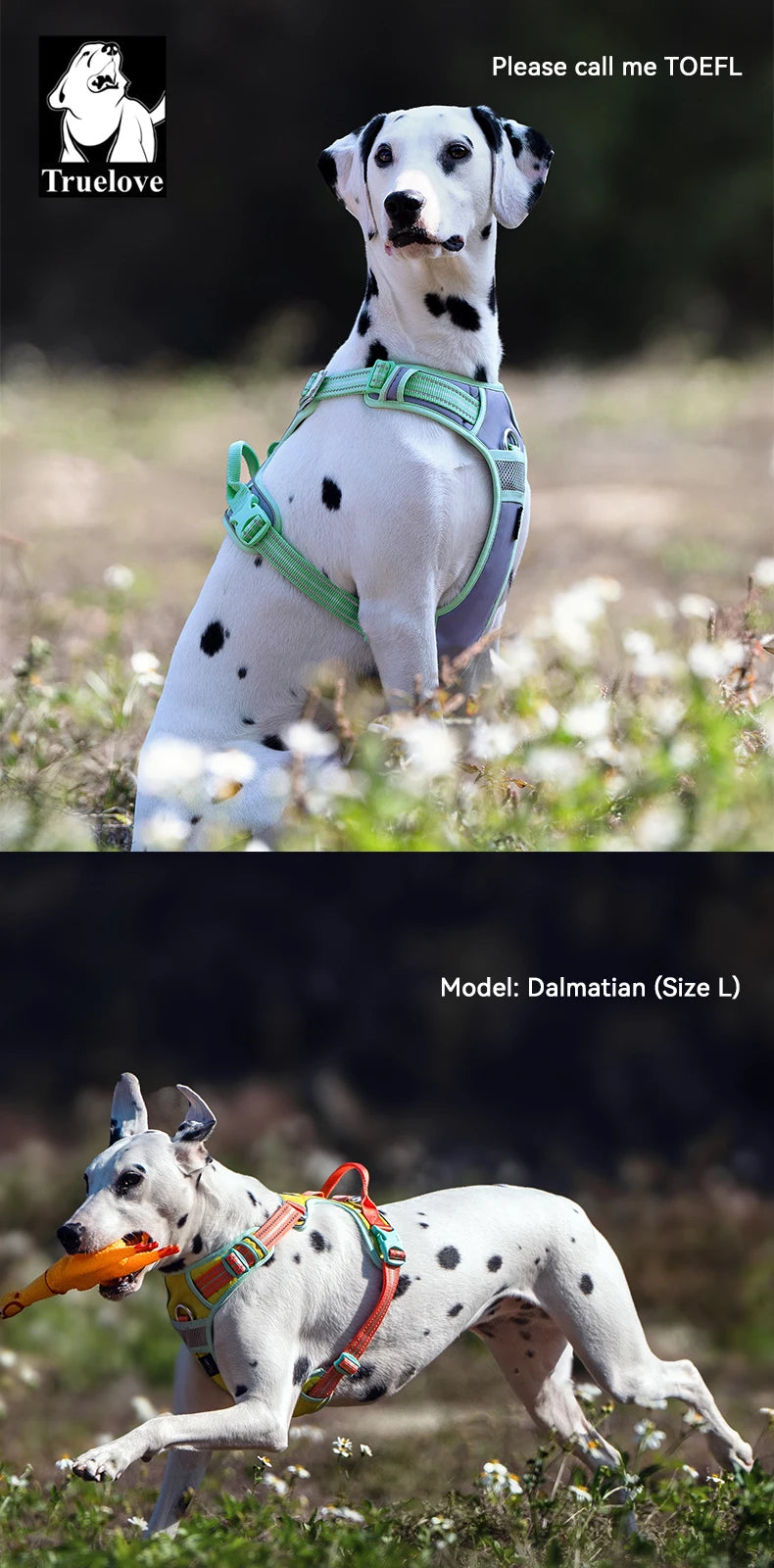 Truelove Premium Anti-Pull Dog Harness | TLH5657