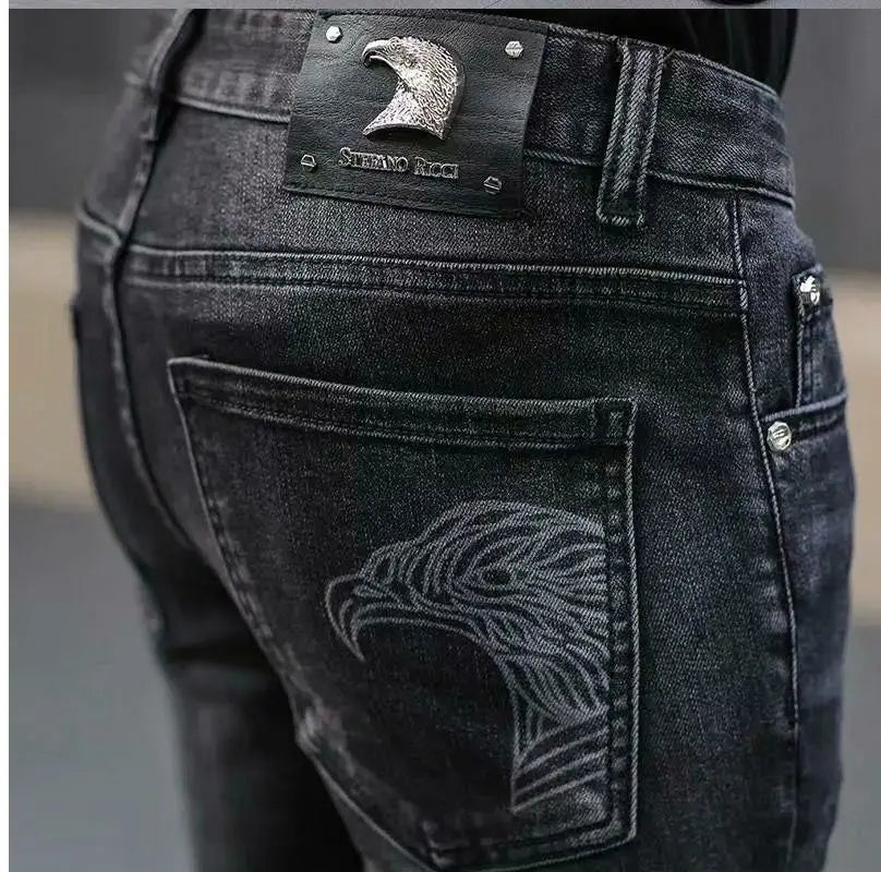 Men's Printed Stretch Slim Fit Denim Jeans