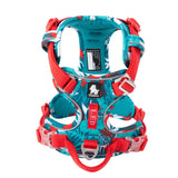 Truelove Premium Anti-Pull Dog Harness | TLH5657