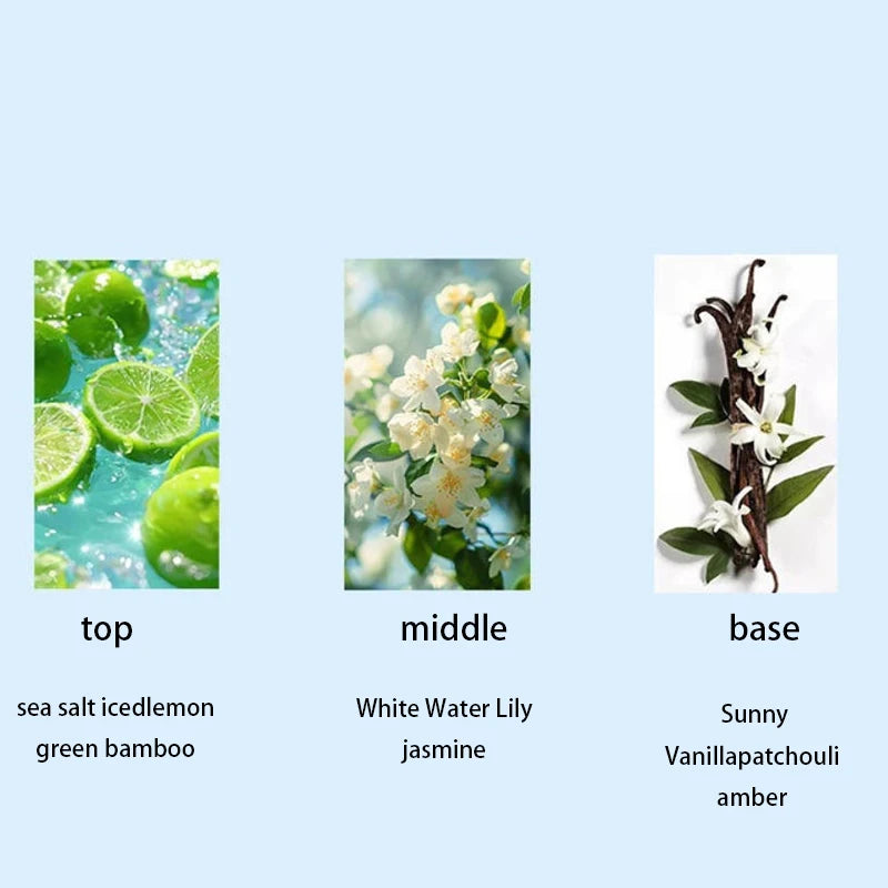 Butterfly Perfume | Floral & Fruity EDT | 35ml–50ml