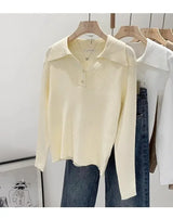 Women's Polo Collar Knit Sweater