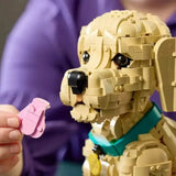 2102pcs Golden Retriever Puppy Bricks Model Building Blocks Ideas ANIMAL Dog Assemble Toys for Home Decor Adults Gifts