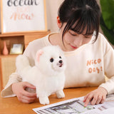 Premium Simulation Pomeranian Dog Plush Toy Cute Stuffed Animals High Quality Puppy Plushies Doll Cartoon Soft Kids Toys Gifts