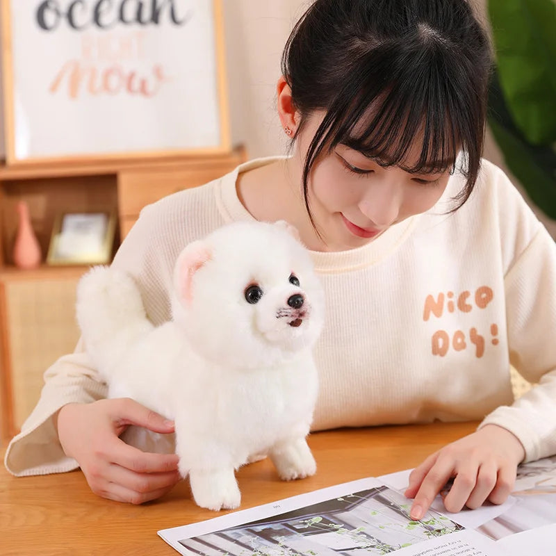Premium Simulation Pomeranian Dog Plush Toy Cute Stuffed Animals High Quality Puppy Plushies Doll Cartoon Soft Kids Toys Gifts