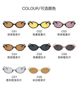 Fashion Oval Retro Sunglasses for Women – Simple Small Frame UV400 Protective Eyewear, Literary Style Luxury Design for Commuting & Travel