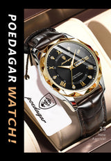 POEDAGAR 615 Men's Luxury Quartz Watch