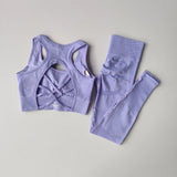 2PCS Women's Seamless Yoga Set - Shockproof Sports Bra & Leggings