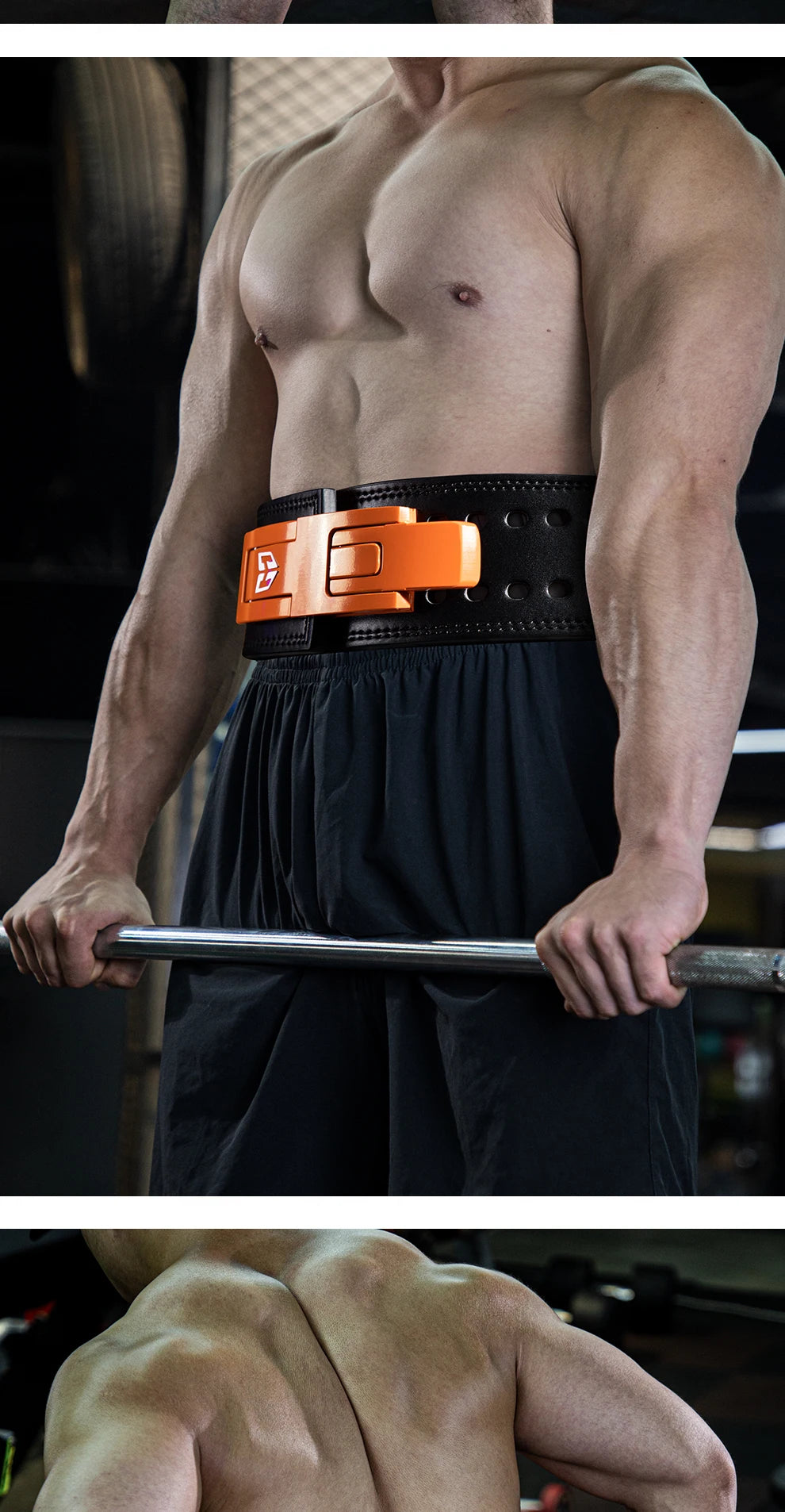 Premium Cowhide Weightlifting Belt | Gym & Powerlifting