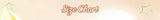 Women Floral Lace Sheer Layers Skirt Set Suspenders Ruffle Top High Waist Maxi Skirts 2026 Summer Beach Vacation Female Outfits