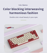 AJAZZ AK680 65% Wired Gaming Mechanical Keyboard Hot Swap Mini Keyboard Custom Keycap Gasket for Pc Laptop