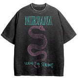 Nirvana In Utero Washed Cotton Oversized T-Shirt — Retro Y2K Streetwear Tee