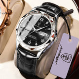POEDAGAR 615 Men's Luxury Quartz Watch