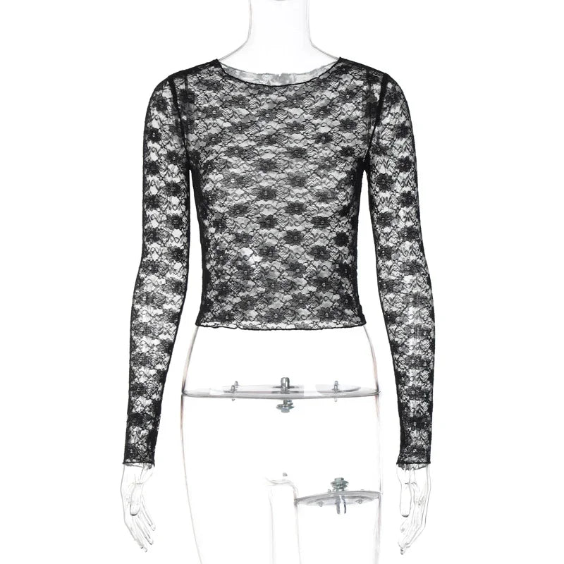 Elegant Sheer Lace Long Sleeve Crop Top