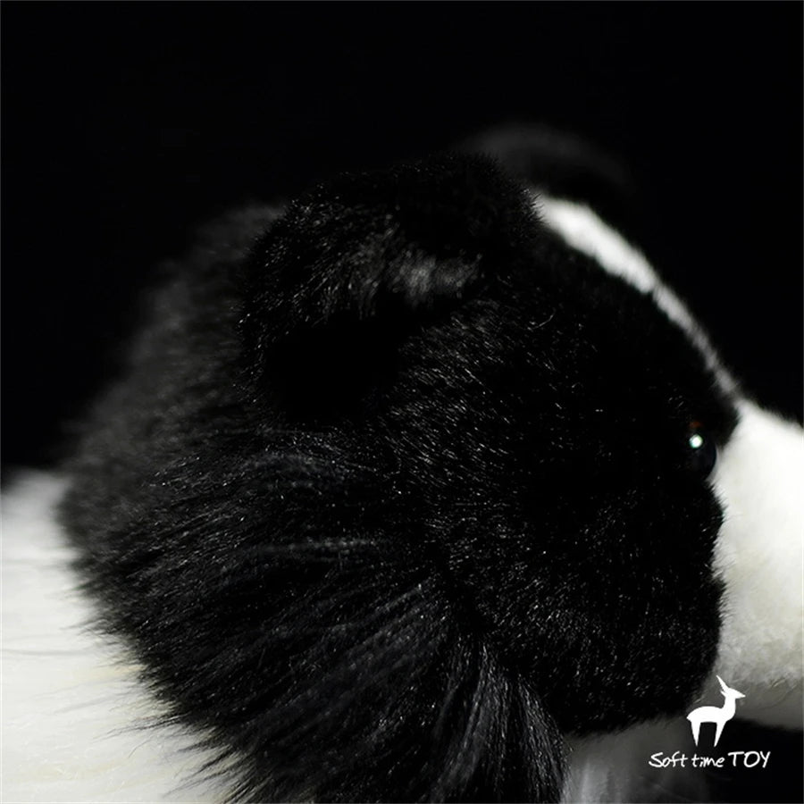 Border Collie High Fidelity Anime Cute Plushie Sheep Dog Plush Toys Lifelike Animals Simulation Stuffed Doll Kawai Toy Gifts