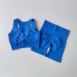 2-Piece Women's Seamless Workout Set: High-Waist Shorts & Performance Sports Bra
