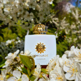 AMOUAGE Women's Eau de Parfum – 100ml Luxury Collection