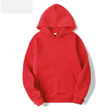 Plush Autumn/Winter  Hoodie
