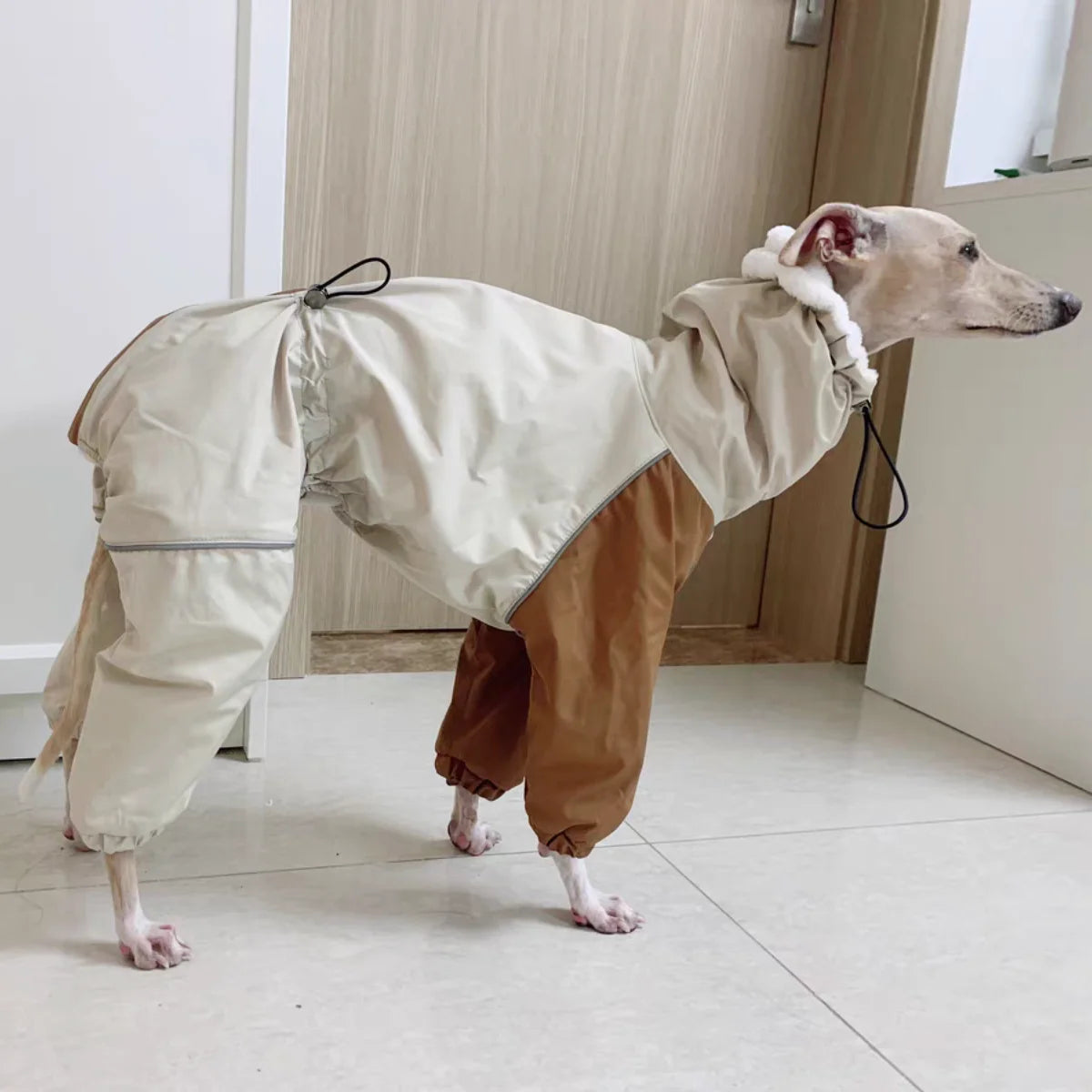Italian Greyhound Fleece Vest – Windproof & Waterproof