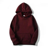 Plush Autumn/Winter  Hoodie