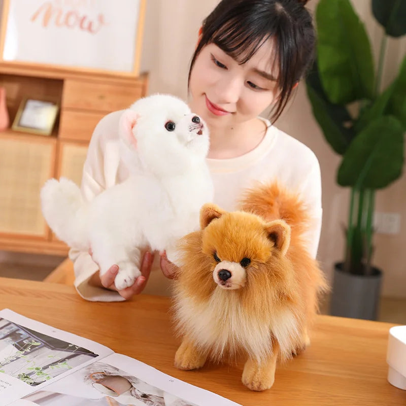 Premium Simulation Pomeranian Dog Plush Toy Cute Stuffed Animals High Quality Puppy Plushies Doll Cartoon Soft Kids Toys Gifts