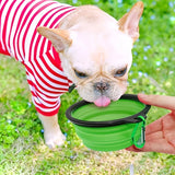 Portable Collapsible Pet Bowl | Travel Food & Water Dish