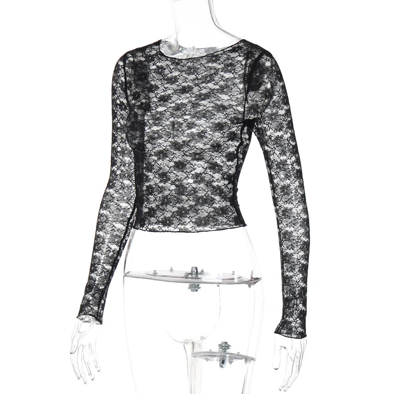 Mesh Lace Long Sleeve Crop Top