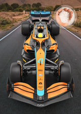 1/12 F1 Super CAR RC CAR F1 Racing Remote Control Vehicle Toy Model Collection Gift For Children Electric Toy Gift